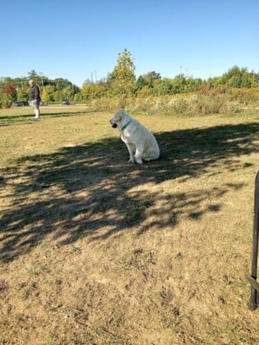 AC9h4nrT757ZXajwyrVMFg0VxWDStzPjp2xxC80a0HdVdD8IJRT6 AlmFBh o2 vdM QIp9Bx9m7uWzUebeWzvN6I0a2XL8MzNRivG1SeW Ltoj7ccD8h2ibEFYVT1QzHks7yMy5yk 9Cww1600 h1000 k no