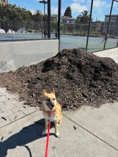 AC9h4nrT8iRcjp7idTbs9Aw8wKMbzwNExZyma1I3BD4hKiHLb5AOjNukUh4cplDsmxsuvbaFHg fAtkjoXuAmjPjXd3YTELzdE3rgU4ghyaxNekIShqg3V9OeP3D 71sNOnUJlEkG8fYcww1600 h1000 k no