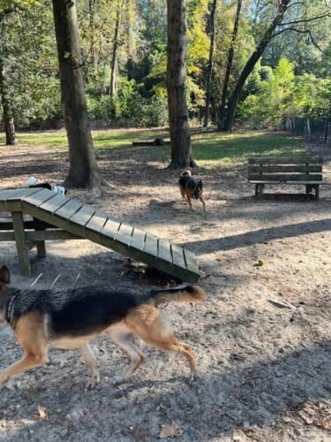 AC9h4nrT99D3RfWuJocDE1LkI9Ae4Z6Ax5PpdcRCFqNYtcODyP6 H4KByXZ o3U1EAF9fondG2y6UIM5bL cqzuyf7kj1AFQhzz7uziDm M0UNyvPcVP4ZMNh bAayyUdrLXMIRdI gHw1600 h1000 k no