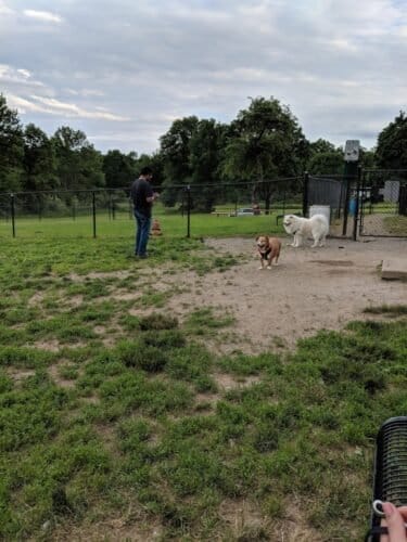 AC9h4nrTBelzkyXr OogR1uEjL7jGVUBfTz4otJZxQIg2uk5ySno5YGyiuKed eXlOIxxuZUu9gPSd2sWRIwGG0EG3BavMRU VaThY05VbP1WXb0 H3DZjyh0ciweGMno0R7nJ0fT0kmqgw1600 h1000 k no