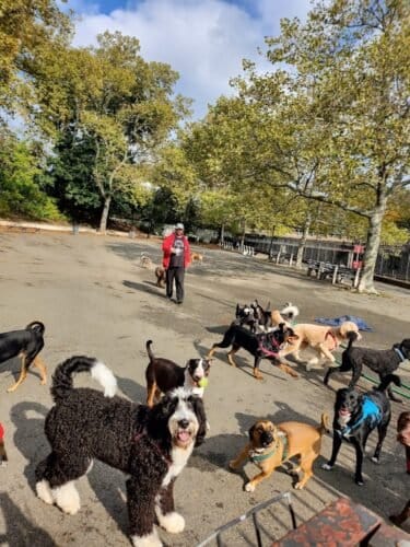 AC9h4nrTEYo6UZTVV h3457a2SvBcwga4Dzyyp3fU3pGuq BkgRbp3Or6p2 1sPTKg5Zi6yQTqsqbTpE4ZF 50iZzezHDnMKZfqz8DtoaVRLbKzIAc75S7v8e0E0NL8mGjrqm4NidnZHw1600 h1000 k no