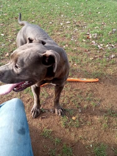 AC9h4nrTho mvRcrkOyEDvhEsWUX2l1Df CxP41h6 QZLZsfSU8d5AA2g1TrwYUL8fg2A2yZchBqyzTa1F XYAChX0BsOr13GuuUywEq9BACqTCE6wAHBC0LtTjIrVl9iu3lsVVafVsw1600 h1000 k no