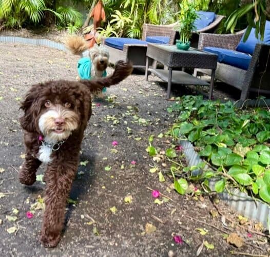 AC9h4nrTmR1GX9dqrkueliQ85T57 F U01NKlcrJzwBZWVj0c57FaMWeQ8u2Lon69TARr4swGUBk5YGB5htz7KntVFsWWQUeqAhI776pCwgsCS2gOYPHmXwoAUC71pz5kKbkTPzm5NuPw1600 h1000 k no