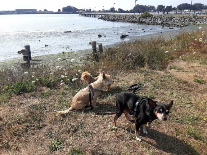 AC9h4nrTtZlHDshBOc1Vb0phPTTF9bqDb2 IbwNlugaY4aD dhrGzWBbG7C UzZ688VNOnK5yZL2VOY5 00WByn7Si4X949TX TzaTCMM0ow1600 h1000 k no