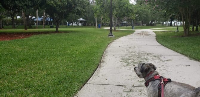 AC9h4nrU5rEaz3VF1ao3Uj5f9DZngBqdKE oFLiw95cZADYR 3OFArkyNmLRidZGx7aYBp2Ob8 gDb3t4vQEEechCFp1b6CW844rVZ1K1mPNVKcPM28RSTa8SK aF7UIj0OTFpyOupIw1600 h1000 k no