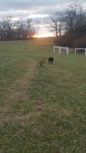 AC9h4nrUGhlQ2hL89fbaYSvFXZkQ3RHAXuHIT8fRMZriiDEFmPgyJGbkQGB6k4zls LEJn Pk6ZyIKI1Ok1J ZOJOabu4VAI 7eWbOqjnHYw1600 h1000 k no