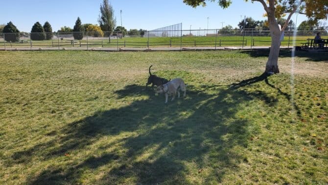 AC9h4nrUI5izNuHsctEV0Z4ejlZyXHg9BDKLqEaDlA5pjR4R44 N3VygGuD8xPwmuFca01vp2qtft NWBYEoJEIwvn7TgJlfLPv0leX E05bmkH3G3kEdTN8eM74omGvJm9gRWAepLsUw1600 h1000 k no