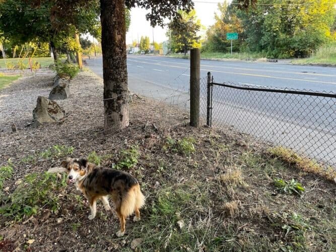 AC9h4nrUQ82QoDznPRvTJdypOrmf8EJnYkqaTjol06ylJW7KQtLdA Fp67s7J10ebUAOYB9K0FfqPYiIAfJP1PwCWw6yGeLLQxb 1SmJFi0w1600 h1000 k no