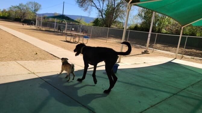 AC9h4nrUSDejDpNHz68 JznK FUC1ulbT2PVXF6IvgU8tqjg3iBBAeI9KtnNGqLbqCgYQi7WAbXImVlC5wVf5LIWq4TU9wdDuq4y6chj EYfviU BJug w2jam0RYvL2laCR2RFUvkSmNAw1600 h1000 k no