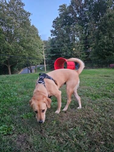 AC9h4nrUYz8Wtas7O9ATU1jgZ6TJ6aUFKPxzLV5WhDaUgygtf1oQIEZTMliON1GgmJuKWiZ 2qiKBzPIahqw8RMM8PHObdFFN 8FzwRIXSAv53oSvy2H cs1 yksxlLrnQSamaec8 lMww1600 h1000 k no