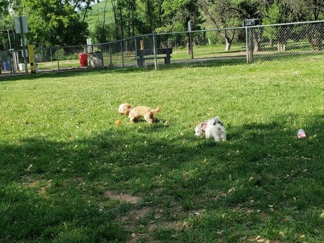 AC9h4nrUegONxg1jr98dMQ2DF1TEhLIVBmrgoNsFgkm4xoMQpn5kM0 qETy5Hwp0NLrc3Wd8m9KqHHuEtnglZkq6dtvjN6zAj3N77XjiYXOeZGTpf mKclRPO 9w5bbUe2qjdHJFhiUw1600 h1000 k no