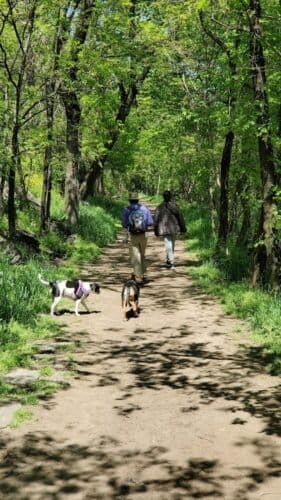 AC9h4nrUgWGowOxEqI4TkMUkN59aHSmCZBF2PWajHggNrOaIngmTmFefE1OlLUdqdFLJlYfgr3i 2dmUaiMXkKHhADFpr8Z9U3oALJxDVq7MlSkQvQi64xvnUt 07Ye7KzJ2zDfnwgsw1600 h1000 k no