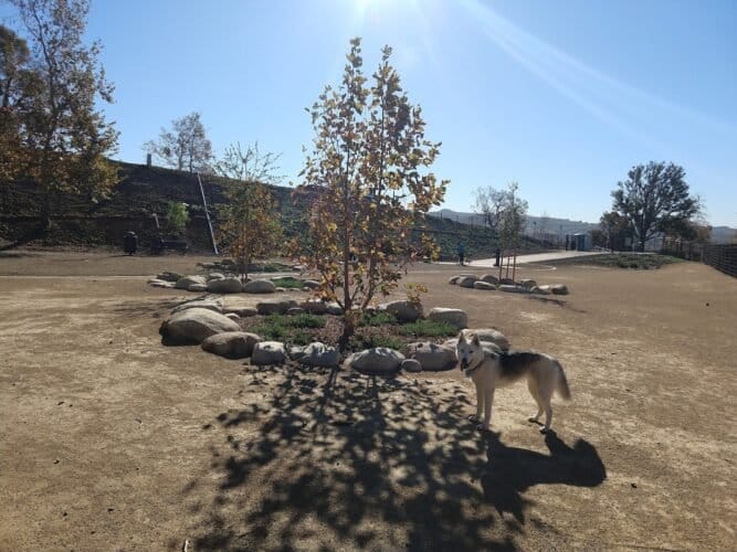 AC9h4nrV6YtE04HfGz5cwgQFHmDi257UQ8wZ5hsil iu 8JQOWfMpGhOz 5e8cNTGJ lZFEiAMwGunGdYgqYptgI5GmJ5sgxoLLmO7Q0TeMw1600 h1000 k no