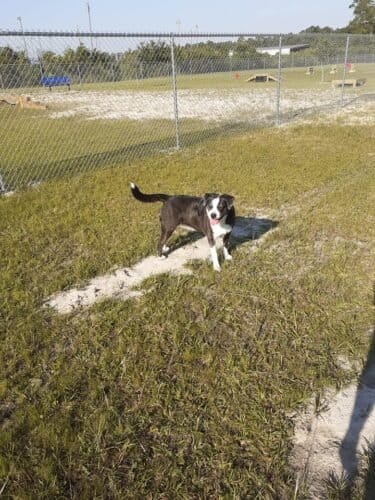 AC9h4nrVOmPSrnOfNK3 v0A5aY8V2TfVEE33 bOUdhQ1zugrTyOqGnFlb9jJh5xL1eyWmqjXGn8PqPJyk2SUEa1XTTByG fdPMfLGSGAqarvJ7AlbD6z0wdssRJJlDbwssOmBLUdPZO9kgw1600 h1000 k no