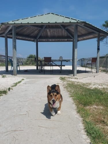 AC9h4nrVSeis3i0CZisQyi5KdYtHqw ZigUvX5tYVg4L9oAMdMsvr2FWs73reOKjPLkNaJ TetTCTUdzgE1evTQeqSh93Voo1f IJh8F5m1WOuJuZ0YIhb7b1DIdwbqYvQm IDgU1S0tw1600 h1000 k no