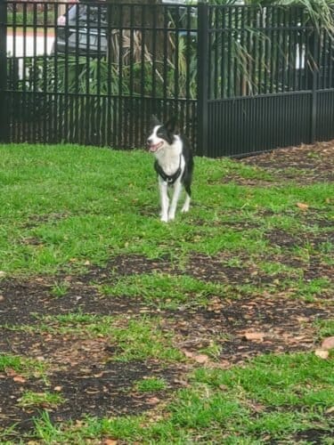 AC9h4nrVWOVqQ8I16 YopvDVzr74MgR q2BM06HNefDIdiw6X7jgfI6bEnYzO rdEfe0cSOAI mggc8J6E0dda3W4hTa4w bCIA2kD7FvfdInd7PthEx1eqQqopoevLHNvvLNQGxTgnhw1600 h1000 k no