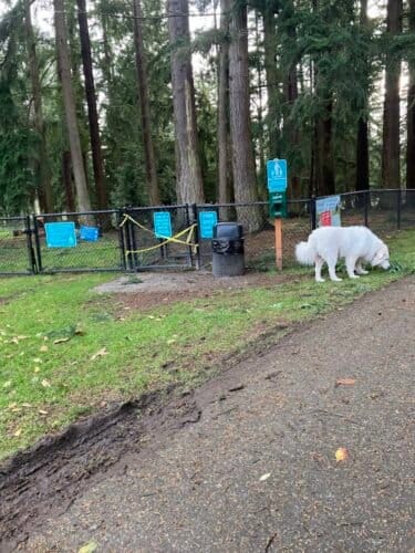 AC9h4nrVibWXs 9VQyXqjmNypdhH97ihtEXCmnWk3oUM4t5E7h mcrelvrxlm tJNihg4Zi9LCMw3RYnsj11A2hC0uxPYSgJnUztz9TbY6hz7 6ZKnqwBU4Mt49S6riRsDF9Zi Lqimmw1600 h1000 k no