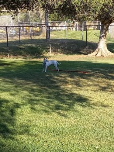 AC9h4nrVo9hmpZdDsjuNAgMtxl7tSB25Gxn6dj3ZiAERHfsDTQq82VeFwjJcV3kMwBPb2Q7Nb6Z9MhoVGzk4NFKgm3mCQ7jA3oWqYOK3kr4jvz2jn1iCbpVsF7 em1npLXdRjhmORPD0w1600 h1000 k no