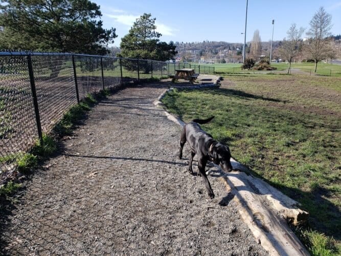 AC9h4nrW2Fd613MWA1jnazMXBvotkSkaOWeyX5xn9SIeqxXO10LUYF3zCW  NP684MIIl1vU3Ez6niiqDYLQvYRB9taV5PuVKz56bFQPt6mJb7h09Cl0l6oVjUMutAfpF7QmLcP2zGtRw1600 h1000 k no