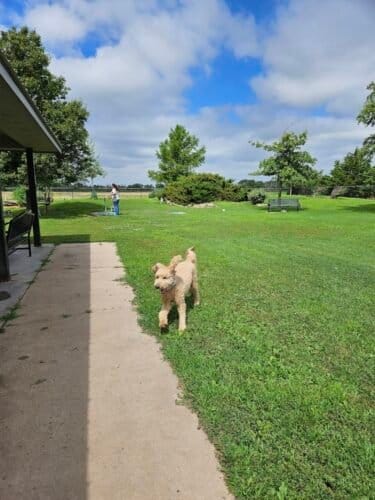 AC9h4nrWK0GhedCYfgUfRznybs 94IueLGnfVXjJxmppU476MgwzzCZ ptxmwtVYC 8BCbI2hVjTzAkmWQFc Q4 mhDQvb5iN3XNWiilVdZaqGox 7BQnr2psXAPYiW162wwPAM603vCZ3PcL2Mw1600 h1000 k no