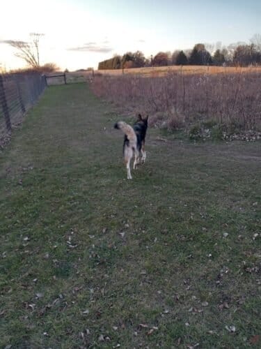 AC9h4nrWVFBu3ip5 MSM2Drm mubSxJHw5bVOtnqcfVaukpAdaKIy1OFb9uHqP0rtgpaR4VInJlhH6qsRggQWHMHXza65NoyvtfigVomQooy Gu5W4b77BtLUWR gyh5YbOFGOinK1MqjAw1600 h1000 k no