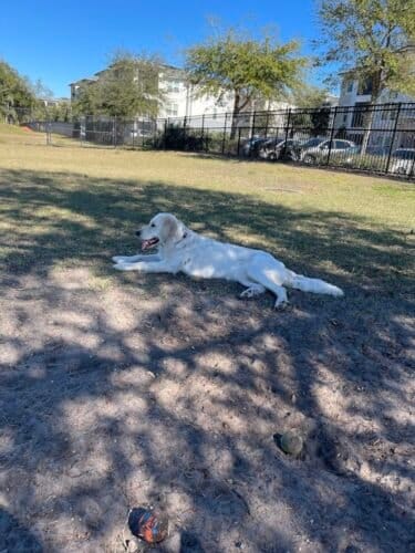 AC9h4nrWXcEaMahPhOJYCY4Jav1efSQkd3j6fGtP2RBVcfxuQ8bVjvgAM1lr4iI2tJRg5f9MdnkLJyZtIYAF ISWGngA04H1Z6fwYD9x65m6baok bz8WQQriowbaaHp5YZ NGVKIqlAw1600 h1000 k no