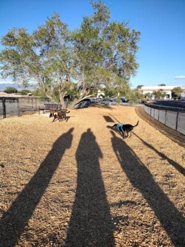 AC9h4nrWYJJYJPTUe1snyttTluXQ1E5kPLlDbvY1x1MepvNit6Zx6eznaxCqyWBHgP4qR663qZ3AQeYwsvVusIM5gdAmkoHfR6d0shnusneX6VLR LXBqGhS31AwMX wgwXfnKYZWXR6w1600 h1000 k no