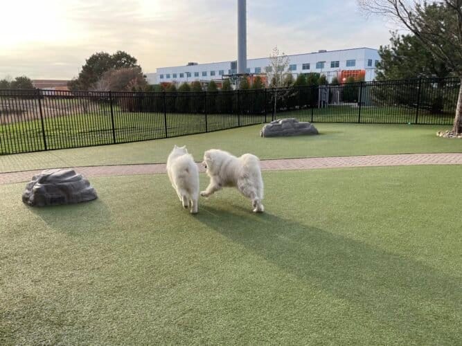 AC9h4nrWgBDH2SocIxVnI1j666VZRGIEZq z3GvsAogF 8F4RCPCT89 uQm6AXLF96ABMpCTfFwCJwmckBvYUraoH42wXJimMB5EjrbJn48SnULcOi4CWjq0rkRtj5FJhxVdkTqVaIuWw1600 h1000 k no