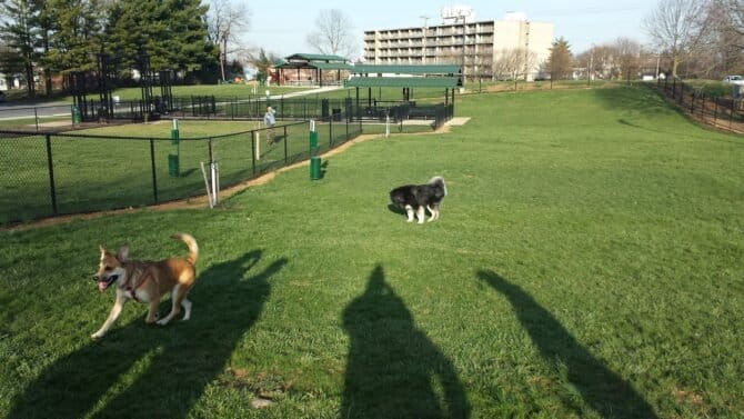 AC9h4nrWmd3BiiuyDlUZdOrcdkgLcMOXg38SFLh98wsc4yFBoG3y8YgX4WEjegbzmTzpinxhOGIupQq WvpXMdVyHw5dD29vE2dqXzo5ft4PWYg7UUwl8wdjlNa8LINweRTxqyKk REw1600 h1000 k no