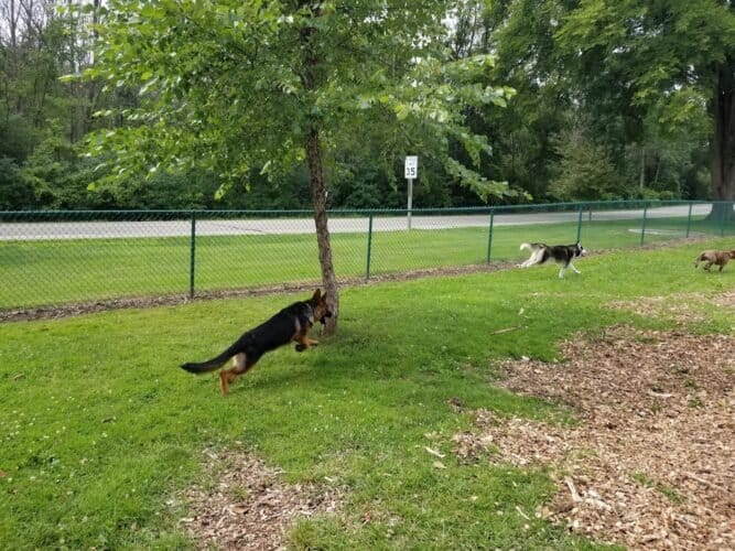 AC9h4nrWtV6Hs4CiHw3kNQWftpQjRr2oUEA 1VEN0gGaFCFCLmRteaFsxl2vLu90XPml6HY49umSJk2vv2Uk6 c8Q5pphYzvObb97DLOZulw jwynCOGV FTXYaZtwIydkvNSYcEfP92w1600 h1000 k no