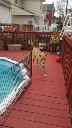 AC9h4nrWthFDHPEYCuNgjifma6EWGu4 fKZyfdv5 K4FHhV1tKgFM9aHvgOJD52 DsN7vpj7eaPFdEND8zWPdOrWF9TN9BMVvZLfQHoD84YLOHVYpx7oKr51UTmDCW1kKfgH7Aepgib9w1600 h1000 k no