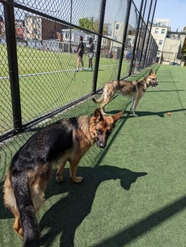 AC9h4nrWvFhbCa HizfXpOLFy8nPSugbtd9LB3kAOJ b 7GCD16oPuYEe8H YffH9EXpiiLRaqYGxpswfREgfNy5 wnlEzsatIWy nb2JFR94OfrTa 33lCnCZK3WDnYOny7WxjONh4DjAw1600 h1000 k no