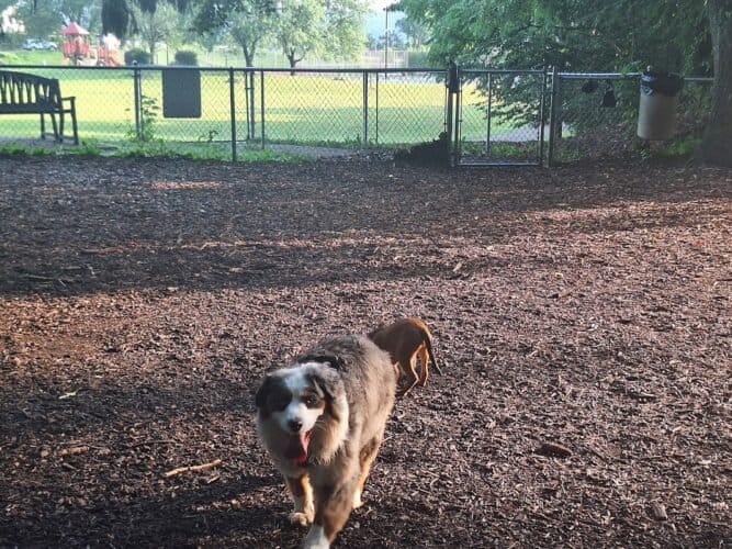 AC9h4nrXAfBUZCeiDfCCd8Bh e2KBy Xt2aArH6u6TUg1EQrd6lox8IYbN3XuZqHU5EMVsDvJIQc0SS2cjjP52bTJOckPlGrkTPTON61YGNcbnb5gf 9I8lRgl9joWnd gnEsYtZNBUWw1600 h1000 k no