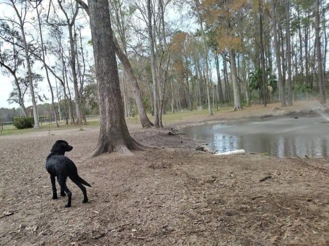 AC9h4nrXBuiGVuOz6b Tbgd7OtD9z2kZj9v6FPpOPr3osO7esOmtNnNaX7zER7bRqGUV52nZ4gV1OH sdNIv8QexUnW2Ko6rjS9DeGZZyRnL0e4DwGl9WLQXmzHI TNtplV8S3 qP1J11ww1600 h1000 k no