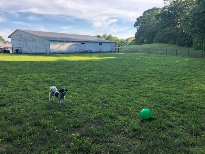 AC9h4nrXLNPCk4HajMAhuTsy79SxvPE5FIgIE4WAGv7hdyi8 HulBxdD8FfzN uztfwakQB8HrYlgjbgtj0r GhhmvDC1NFcAKzj0YGJZtiT5rNlkpUq94Jv ZgrDjCHXfXbmNY R 2UEww1600 h1000 k no