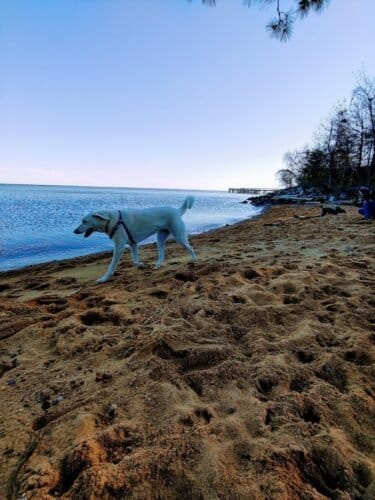 AC9h4nrXLq84P6y46KHYEE8oQmEn0ikEsq9pfPQcLPQ2fhaB2 FS16hEehc9N07XxcXflgCLlxN sYEnDQwbCxqZFE4R5siyf0 DWW6OPyIa36xNIfq3wowMJJXlsS a5uISBpPuv9gUw1600 h1000 k no