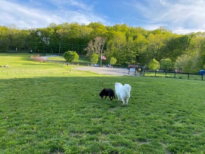 AC9h4nrXZJoH3I9BA 10Wg2z34yT7HdrAjydnJkCQxeM6jJS6WIyUjJC3mSP4fZo3p9tc7mVKhOq6PlSsS2Od4x7K0Du9iszpNurBMZT1gw1600 h1000 k no