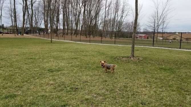 AC9h4nrYGcVUWfRsqre55l07SKfWG09lgiE1ehHplOZ6hYaACO5GbY4Em lOrvTacNjOI3MkYPyJfcKEhywFJn  7 EliuqdaQsbvnPwXuCHz 5sNHYR Ce6XmscrfRbXlK17ivHXUkRGgw1600 h1000 k no