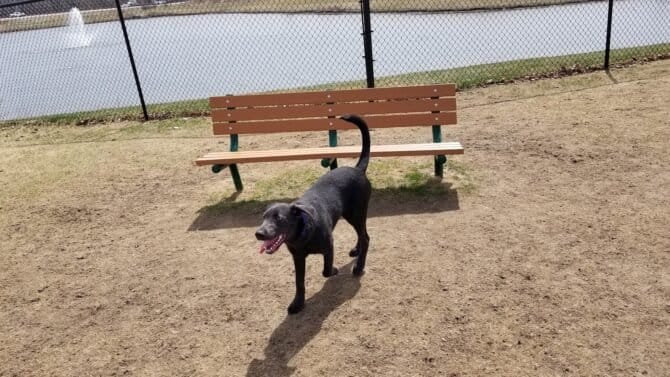 AC9h4nrYKP2whoky4K43P1uyhj47q SKfJ2P7ewa7T5aI8ZsgFI61dptO 4wd DPaDxWzg79KlgRAa6yDTag QjvMCxmVpP9 0 h0RSEiYBfhEhjlaVyfV3Q b7L4EzL9d8lHflkNmjdngw1600 h1000 k no