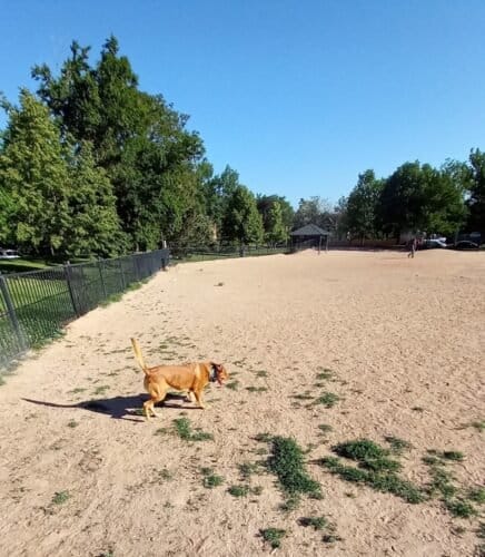 AC9h4nrYPRyikuE6I2rpGc851s1UFQM6FvI1bJG9Y 7Rw OALEf7ZfkyGok4ygYS3VBo8iOqbTP NGwcoC8xQxqDPG4wecHBoTw2dcJkkAw1600 h1000 k no