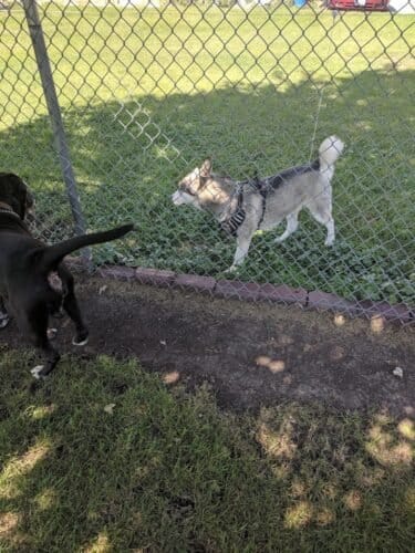 AC9h4nrYXvAM1lDFeG4hEp6e b5 bQy2f bGvy8ZIa1ahaCbEiTaF2EiryV6nWKHj7SqBchfmv68Kq3KQxDslCH0yDRZICp6p8poXLOtM mHJ2oFethIgGeyYy1L6fb 3m4WcdQxcwWWw1600 h1000 k no