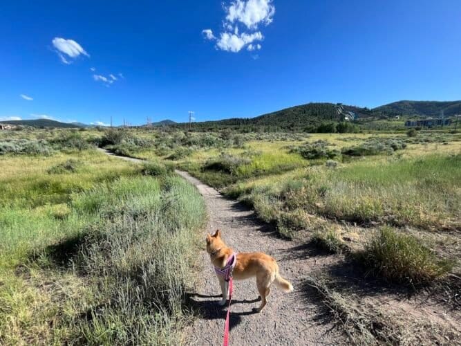 AC9h4nrYd80e6R6hJwt3u0AfCPOx2SDU36x4GlOUZ1 RciuwihH0S3YL6oroUvmqtBF5tYQJ 3kdvOCCcRmJax6c84blhHUA2d37C THbpKGI7RSD6xqoCV0vGBH6tfPDjNTQE 4yRJPw1600 h1000 k no