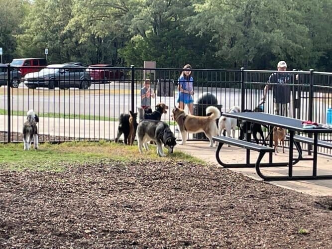 AC9h4nrYsI5Gq7 j0GDzxD1CD45AhyKx0f4Fa9zQW4JSC70lVvFRw 6VrycOmIemNIoOv7nBMrBkcaWLv20DXPvHdo8oAPQvJpZ7vke3Vw0Vcbkhh2dBcWbdTXQyDJheD3dyuJbGDHHsw1600 h1000 k no