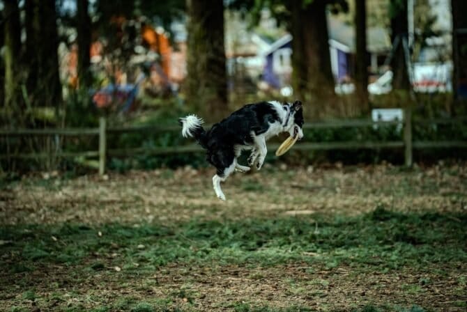 AC9h4nrZ0XG i3ZmAnNTAdOZG1jistkE3xJI5jhp6fZSzO4ItmlUhxyLa6kpg4M6mZ73PRnvgo BD2EEU w I9EzapfLLSgUA51QlsH2p9H8p0kqYkNb1LbrrYV4zzYZTKShK4VmGPVscQw1600 h1000 k no