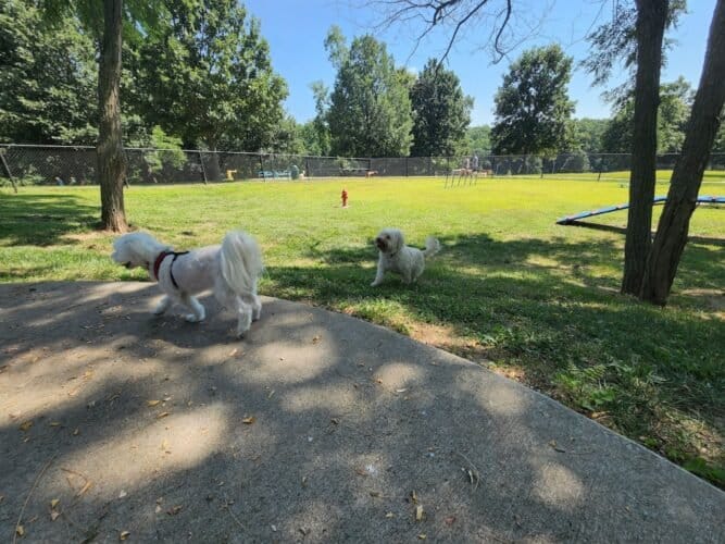 AC9h4nrZ2MfUStcR6rgooh1vJeqxJvIWamODPW3OpLQ4A Ph5JuOGiulqeiuumSkHpf w8v9fpKDSHRg9W70a0ot5FBK9ULJFT6g7ABUrOuMVNLgNk67nmTm3L2nxFN1nhajANQyvGplw1600 h1000 k no