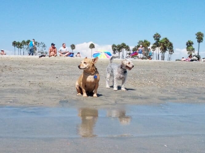 AC9h4nrZ471PLMEVNXDiJmivT76KSBhd1QbrrQ6 9EkRUEzRdmGHMoR832wobQGH PgKCqHdTU0xFzOj30fRIGwvDqk7 BRrgSyDoep 6ATLkwOwgROmnkUjOZu NlwH2gCmRQs  2Wiw1600 h1000 k no