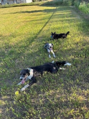 AC9h4nrZ4ipziJX qUAOiAQ52tbyv0PpJs9mXYk FlkV8aTpP3AW9xcdE5jZ6mvM4ZJ w zTKDCcs4nQp0k631FHt7FTVS7oXnyl 1O kX1fPtpnayZZPSV6JJJl ozGp8jHiBFm0pZFbAI07Cw1600 h1000 k no