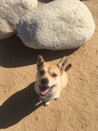 AC9h4nrZ9tgufl 9oRwNRbb hUUOXkcEcN42FBAqd6HwY4uNd3E7m89Ev6jr9OGLHG7g6OpV4ukLAfIQse3vwLgQ3Mma5VlVwtm qVKi60QLxU98fWmIMxtFDrWe2sfhg4xwPgRRImZ2w1600 h1000 k no