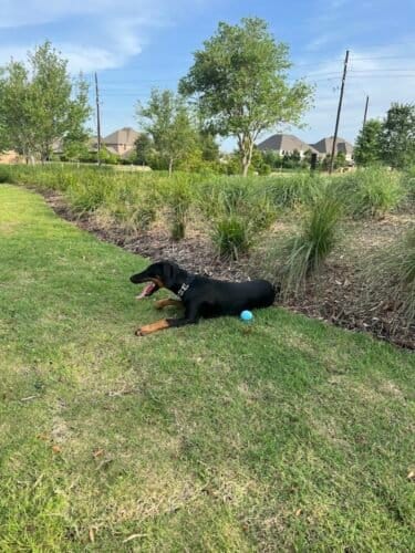 AC9h4nrZKTp9inS1eyCZ1b6ycchtn8tpAoIBYnbs1f3iRcG1iaEBKvhhVoHrwNVgc5dyMR 8tQy8qxYeP1yzb5QU GYu9BfWcFYMNtLYdo2o6FcNwNJpyOQhwhk7KbSP3DpkR9W6wXcnAAw1600 h1000 k no