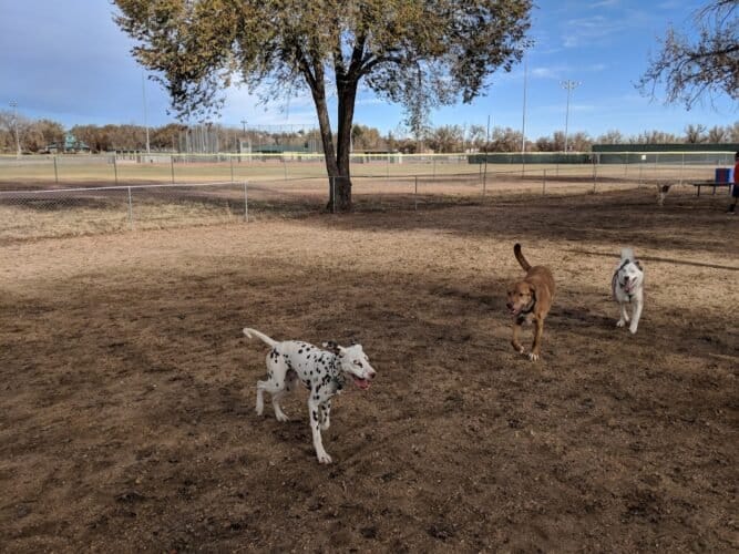 AC9h4nrZO6jxPV KIjdxebgC8bf9YksPEEI qfwsr7eWF4rJ8 6YVcLvM8wVjFqDLe3gL34KsS8G3ez3ym1jIxJ5JIKBdrdqI6IrtKJcWhUw1600 h1000 k no